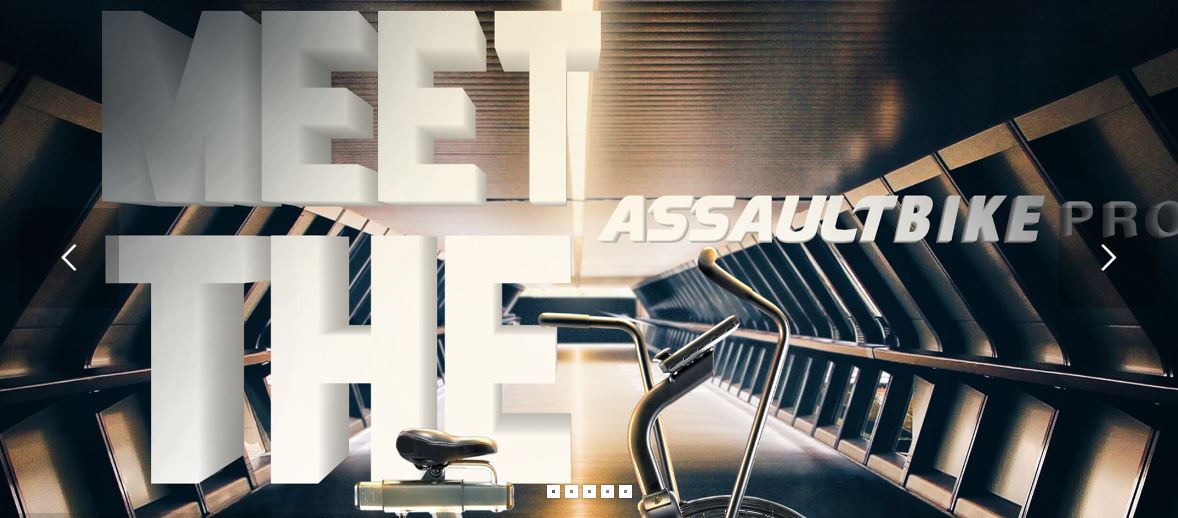 ASSAULT FITNESS