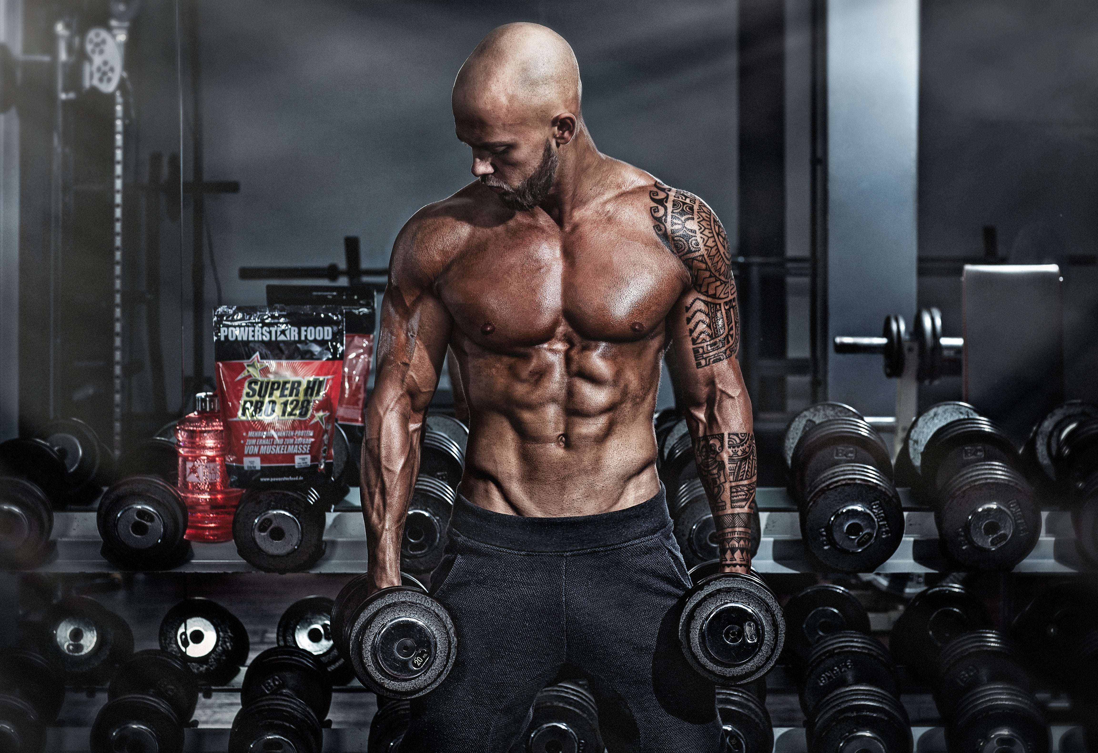 Mehrkomponenten-Protein