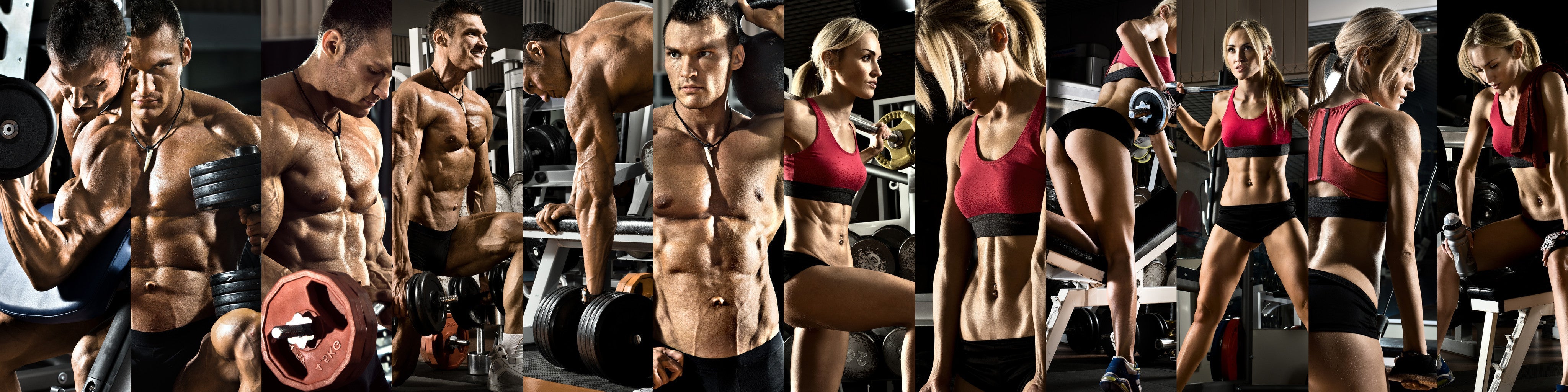 ELITE SPORTS NUTRITION