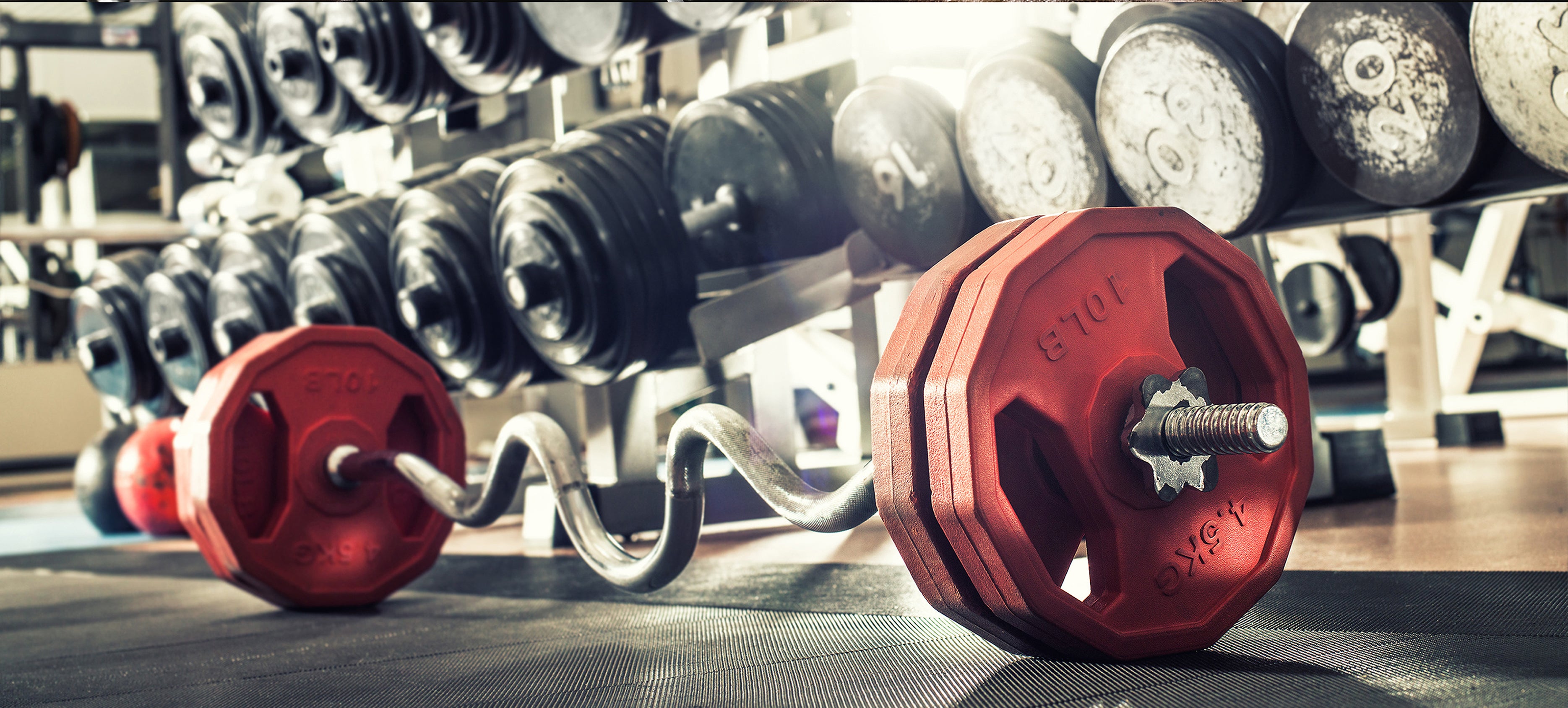 HANTELSTANGEN & VERSCHLÜSSE