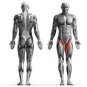 ROBOR SELECTORIZED M-Line - Abduktor / Adduktor 2in1 COMBO - MP-U218