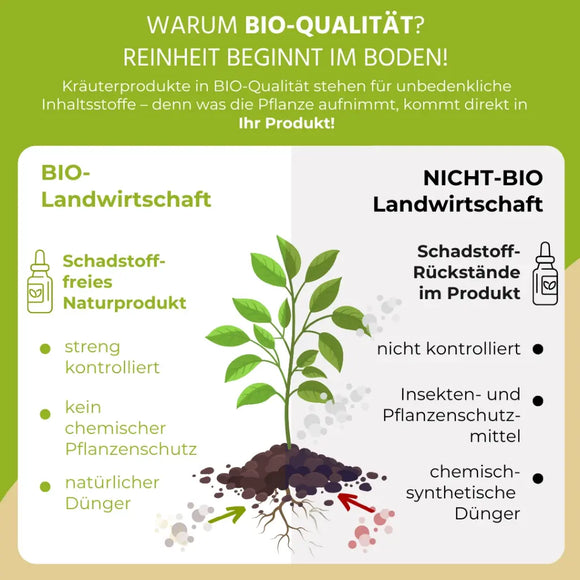 Bittertropfen Tinktur BIO 100ml (Bitterstoffe)