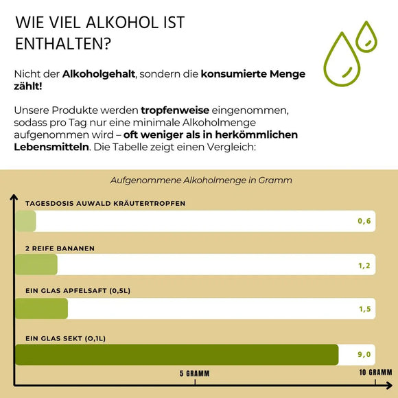 Bittertropfen Tinktur BIO 100ml (Bitterstoffe)