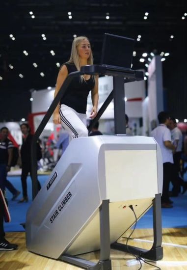 TZ-FITNESS® STAIR CLIMPER TZ-N2040B Treppensteiger mit Standard LED Konsole