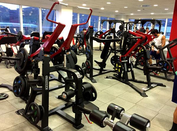 Impulse® PLATE RACK - STERLING STUDIOGERÄT - HOME GYM KOMPATIBEL - VERSAND WENIGE TAGE !! Neu und Original verpackt !!
