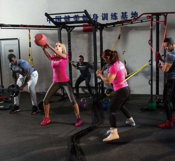 Impulse® Pro - STERLING HIGH INTENSIVE TRAINING ZONE - HOME GYM KOMPATIBEL - ab Lager liefebar !!