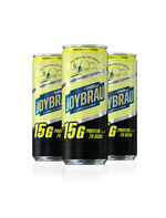 JOYBRÄU® PROTEIN BUNDLE  - WELLBEERING