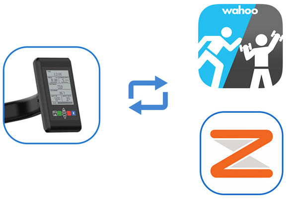 Impulse Pro HSR007 Row & Ski Trainer